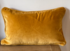 Vivianna Velvet Pillow Cover