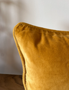 Vivianna Velvet Pillow Cover