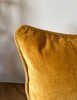 Vivianna Velvet Pillow Cover