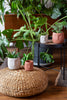 Medium Face Planter- Grey