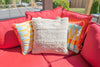 Original Design Pillow Cover - Sonoran Desert